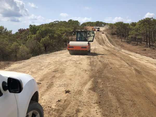 Driveway Grading in Providence
