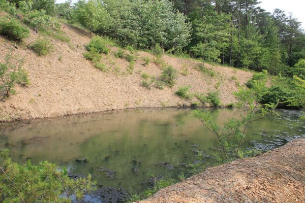 Pond Erosion Repair in Providence